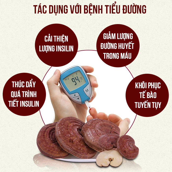 Công Dụng Của Nấm Linh Chi