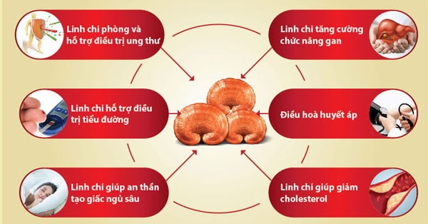 Công dụng của Nấm Linh Chi