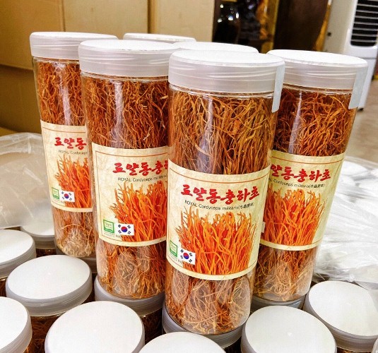 Nấm đông trùng hạ thảo Hàn Quốc sấy khô hộp 100gr