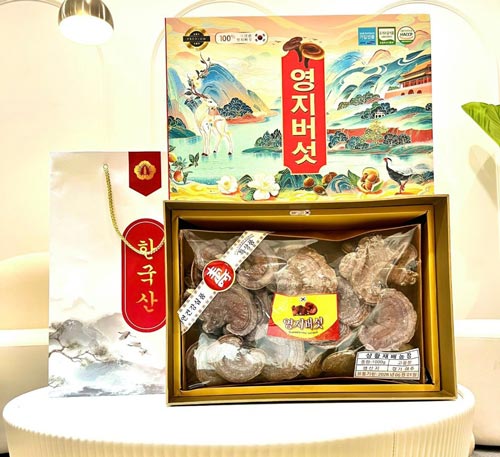Hộp quà biếu nấm linh chi cao cấp Hàn Quốc - tổng hợp các mẫu