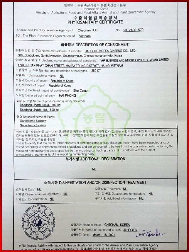Nấm linh chi nguyên tai Imsil Hàn Quốc nhập khẩu chính hãng túi 500gram