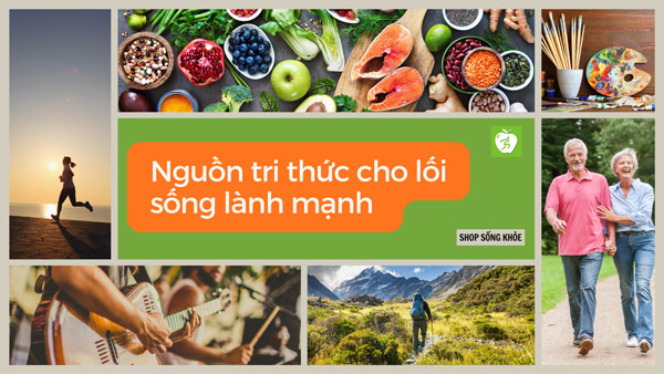Shop Sống Khỏe - nguồn tri thức cho lối sống lành mạnh