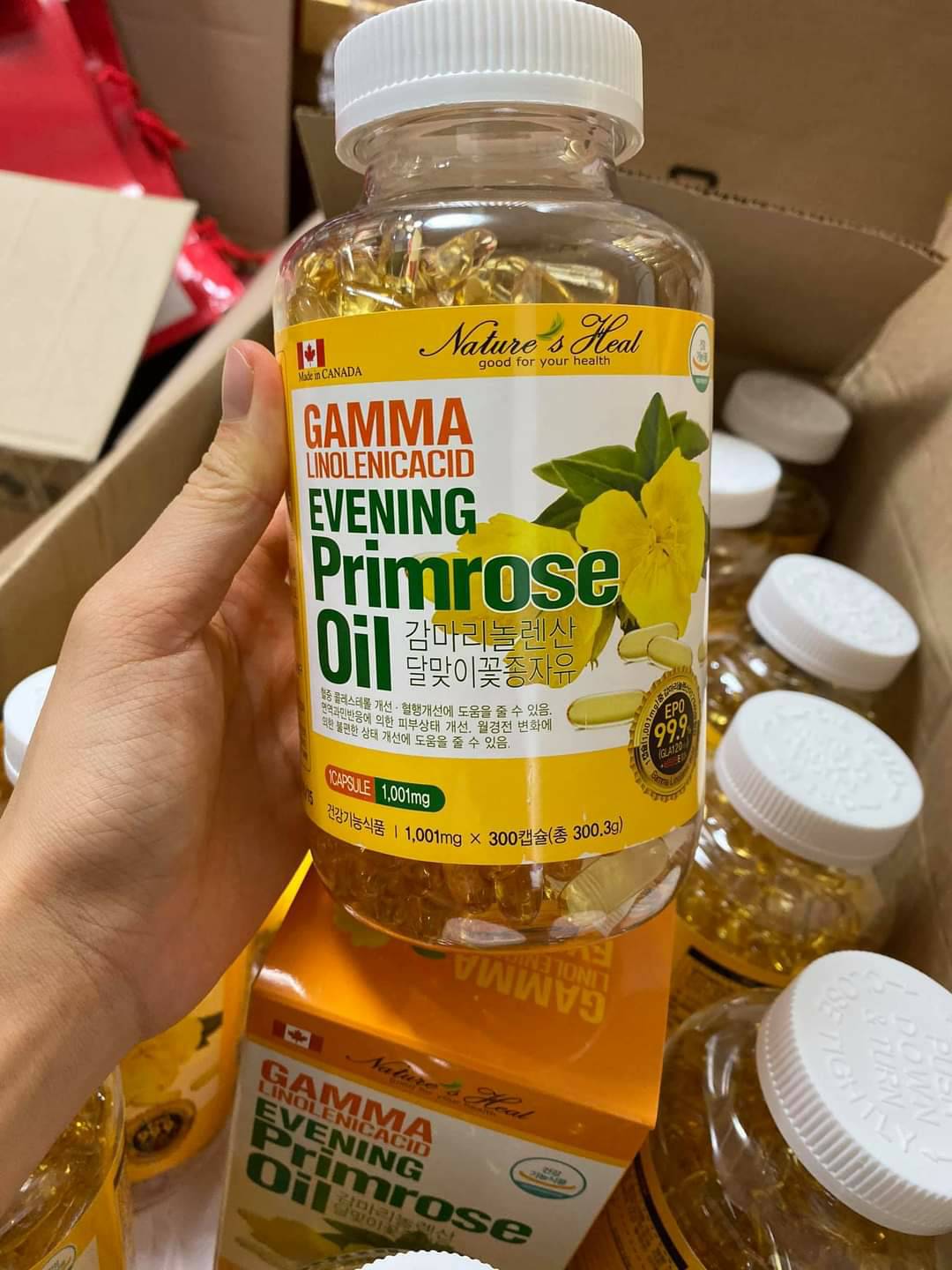 Tinh Dầu Hoa Anh Thảo Evening Primrose Oil