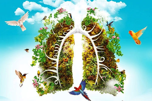 Dưỡng phổi là yếu tố quyết định khi nhiễm bệnh về đường hô hấp