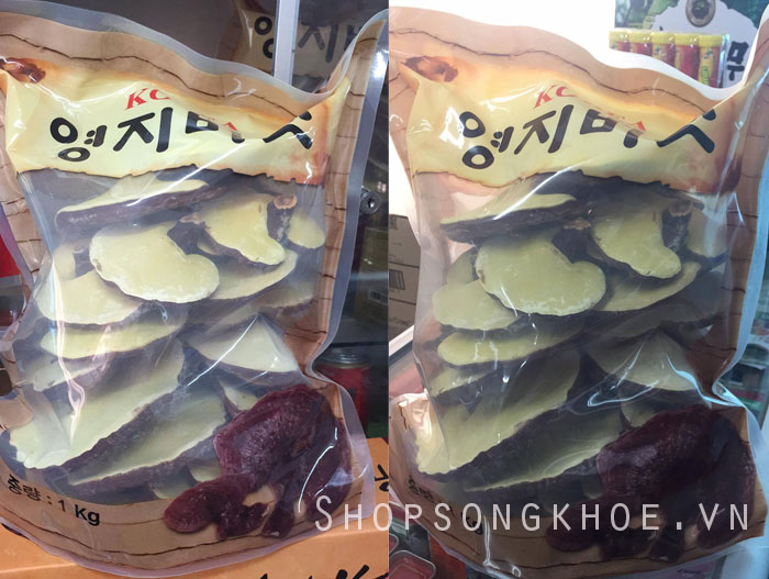 Nấm Linh Chi Đỏ Hàn Quốc tự nhiên - nấm tai nhỏ túi nâu