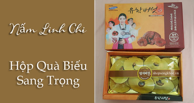 Hộp quà biếu nấm linh chi hàn quốc