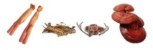 Thành Phần Viên Hồng Sâm Nhưng Hươu Đông Trùng Hạ Thảo Daedong