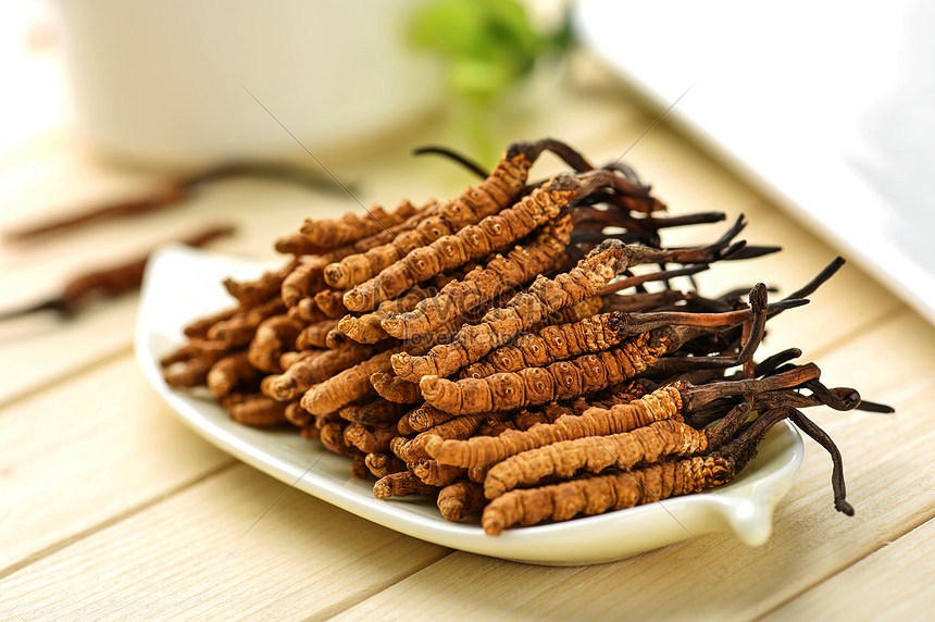 Các bài thuốc hay từ Đông trùng hạ thảo được lưu truyền